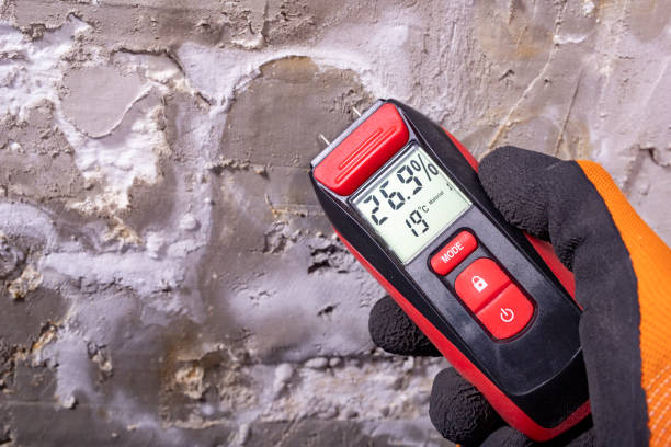 Best Comprehensive Air Testing for Mold Contaminants  in Hudson, WI